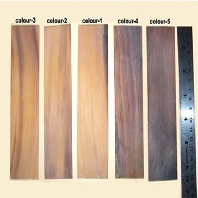 _horn_color_plate 022.jpg