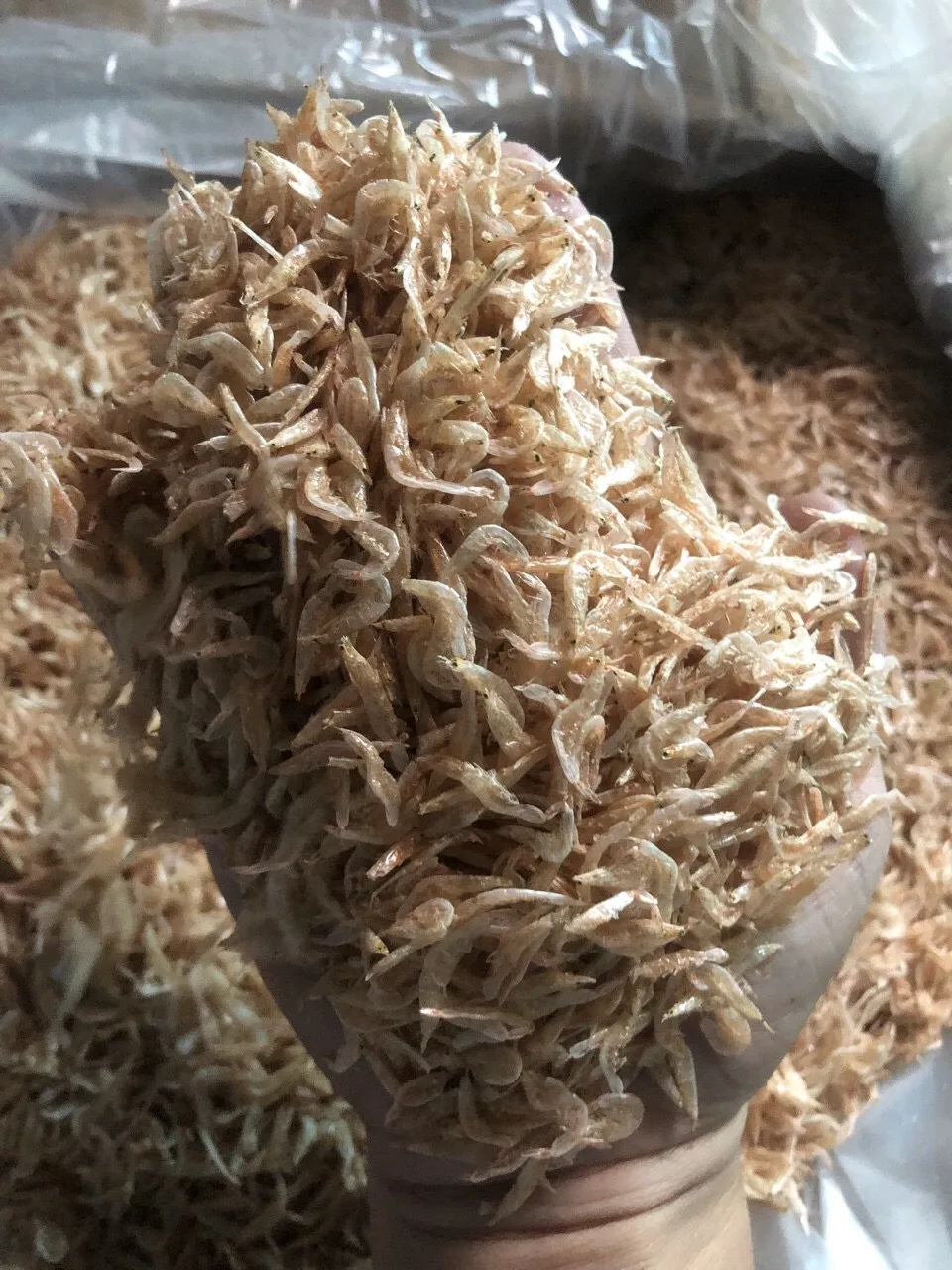 Dried Baby Shrimp / Acetes Japonicus Very High Calcium Wholesale Price