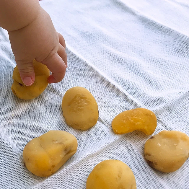 
EcoMom Mountain Village Baby Food_Sangol Honey chestnut(Korean Baby Organic Snacks) 