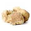 /product-detail/fresh-white-and-black-truffles-italian-alba-winter-truffles-summer-truffle-wholesale-62014390884.html