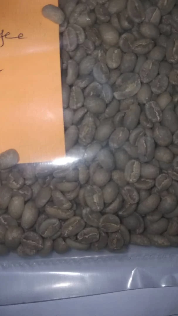 COFFEE BEAN II.jpg