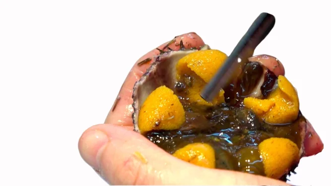 
VIETNAMESE SEA URCHIN ROE COMPETITIVE PRICE FOR WHOLESALES 