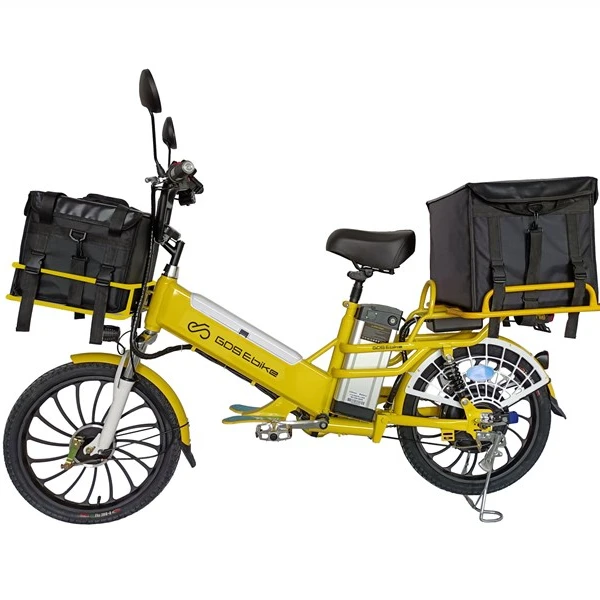 

100km Long Distance Food Fast Family Delivery E-cargo Electric Cargo 24ah Dual Two Double Battery E Bike