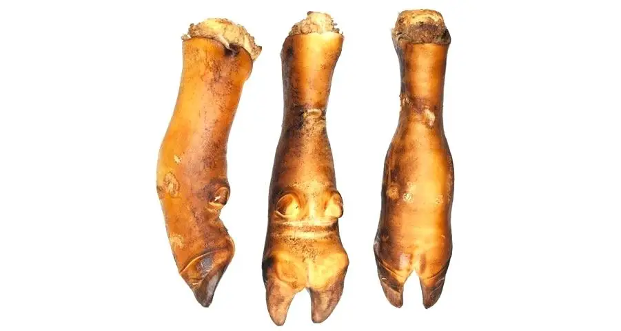 泰国牛脚长,牛脚,冻牛脚长切 - buy beef feet/cow leg/beef meat in