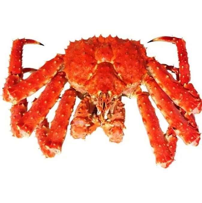 Frozen King Crab,Live Whole King Crabs,King Crab Legs For Good Price