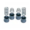 Ez-Flo 32120 Spring and Seal Kit - Long and Short 8 Pieces