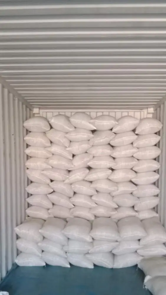 
White Kidney bean Egypt 