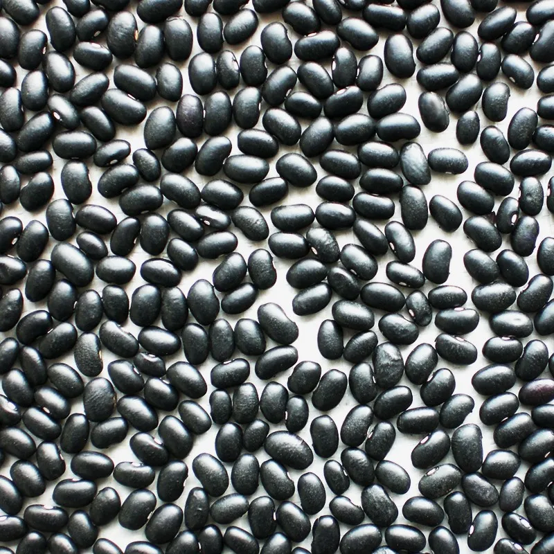 
High Quality Organic Black Kidney Beans 