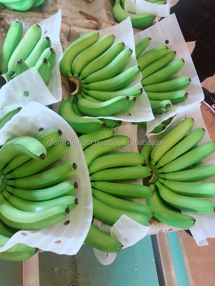 
Vietnam fresh cavendish banana high quality new crop 2020 