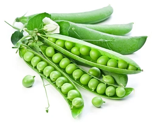 peas22.png