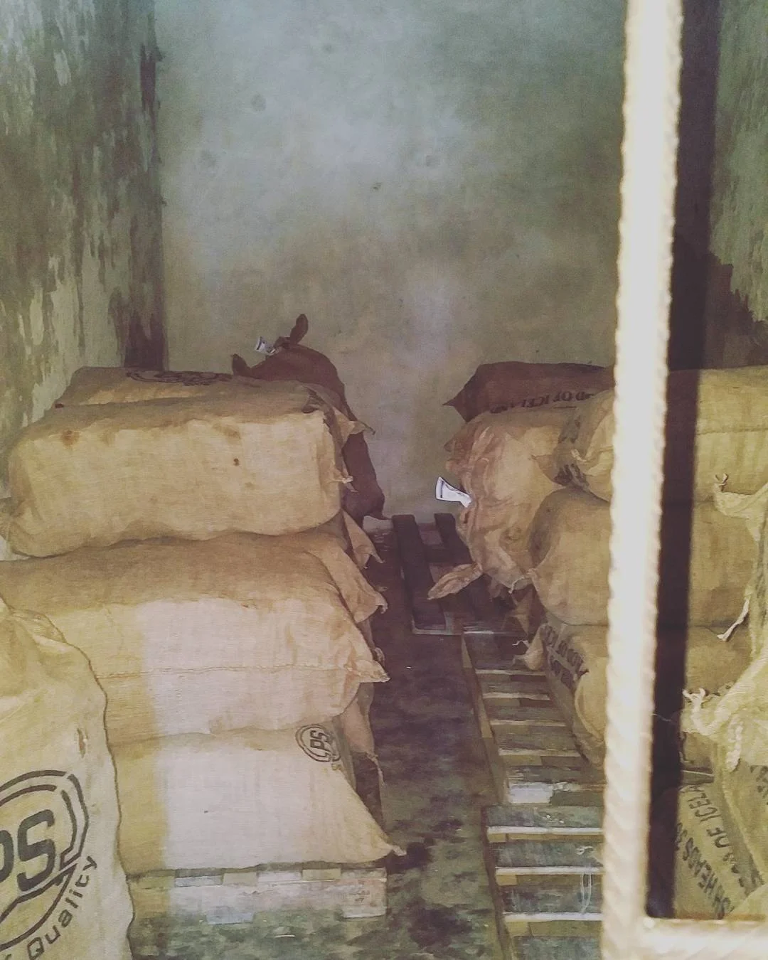 動物飼料乾燥ストックフィッシュ販売 乾燥ストックフィッシュ全タラ Buy タラとドライ在庫魚サイズ ノルウェードライカットでstockfish個 ノルウェードライstockfish販売のため ドライstockfish ハドックまたは牙 アイスランドstockfish Product On Alibaba Com