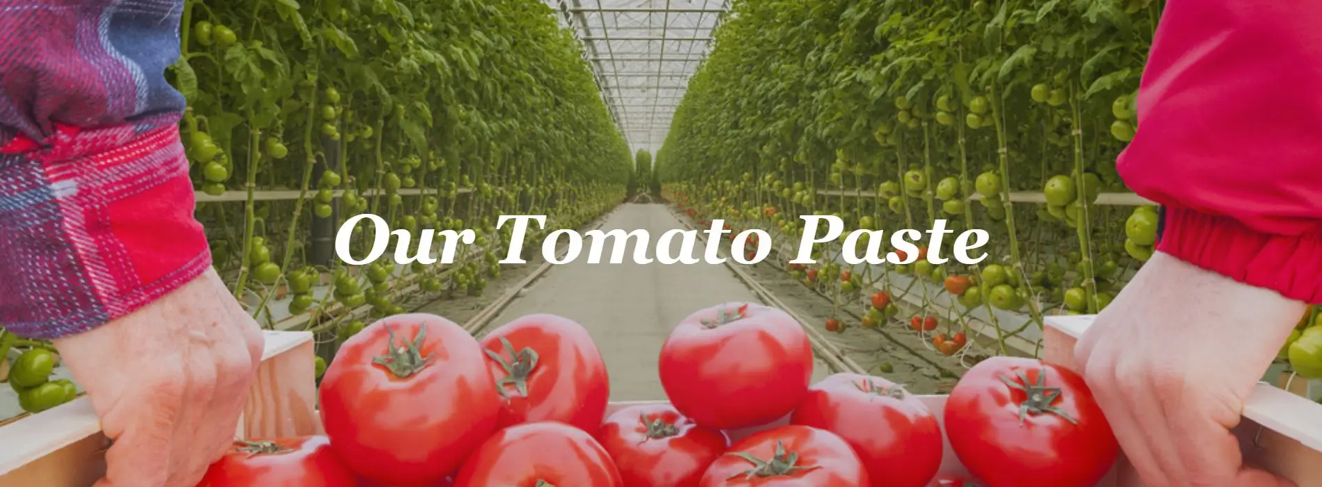 70 G Tomatoes Paste 100 Made In Italy Canned 0.07 Kg Blended Salt 28