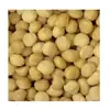 Australian Macadamia Nuts Style 1 Kernel in Bulk for export