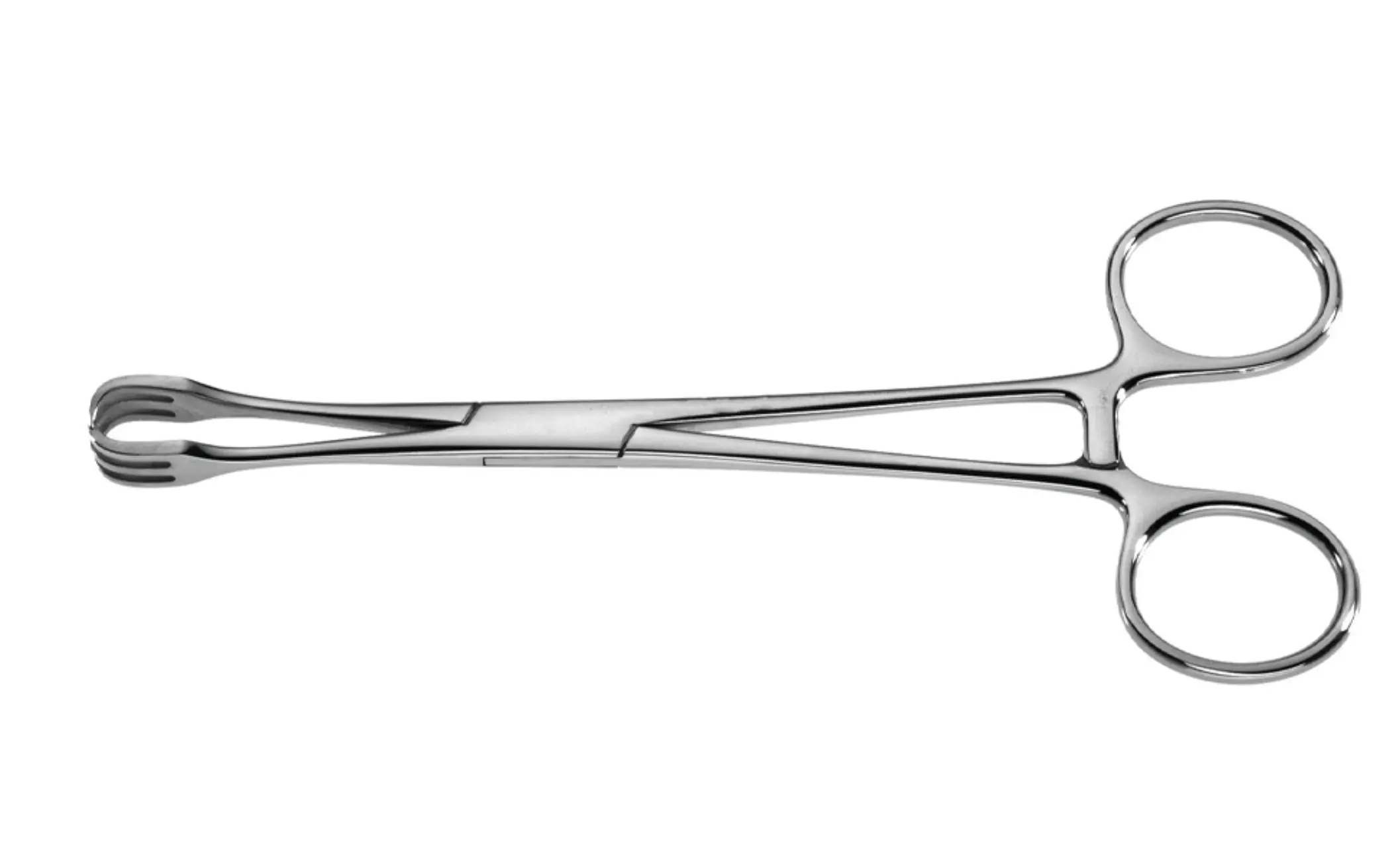 Collier Forcep Hemostatic Forceps Surgical Lahey Traction Forceps 16cm Stainless Steel ...