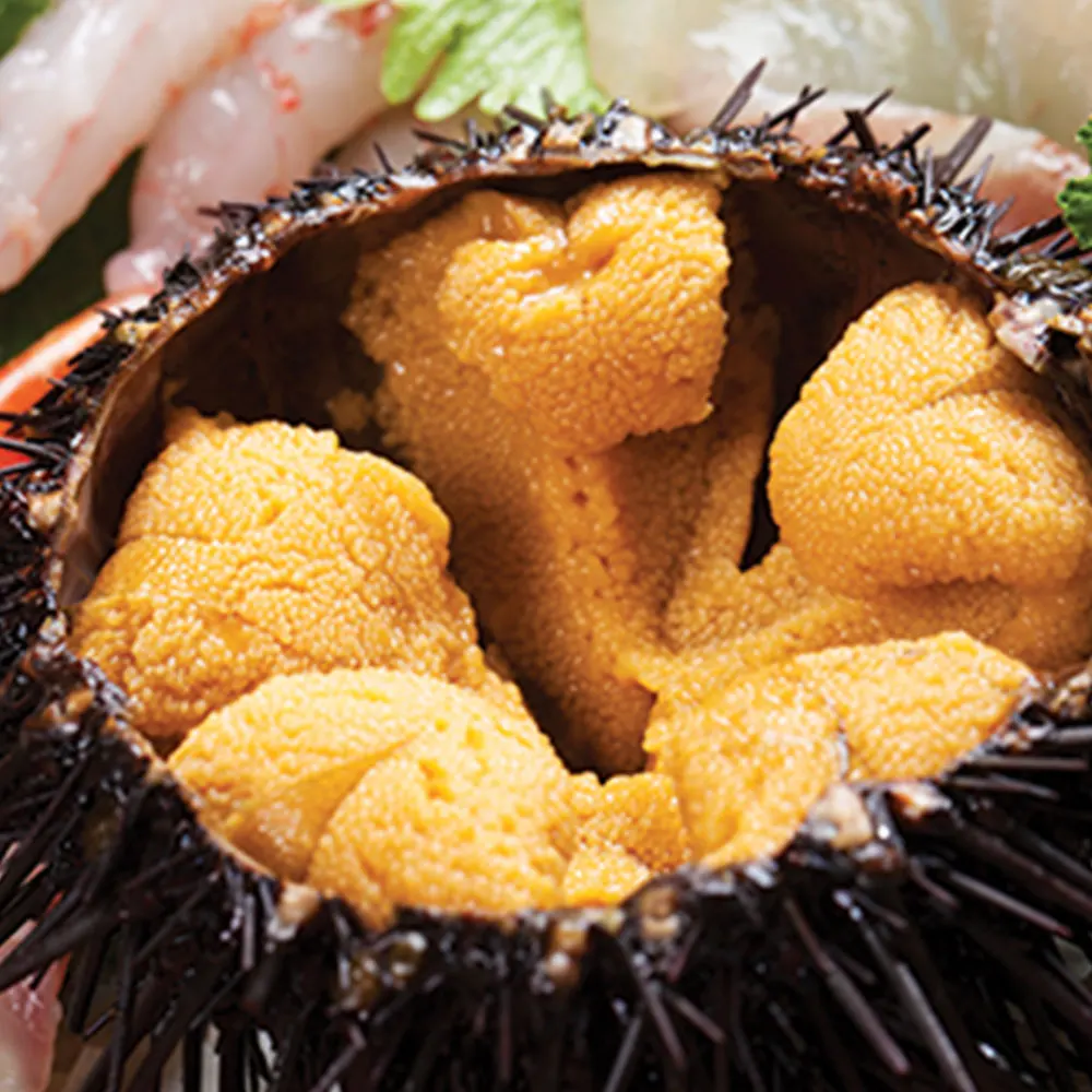 
Delicious natural taste sea urchin roe with gift box 