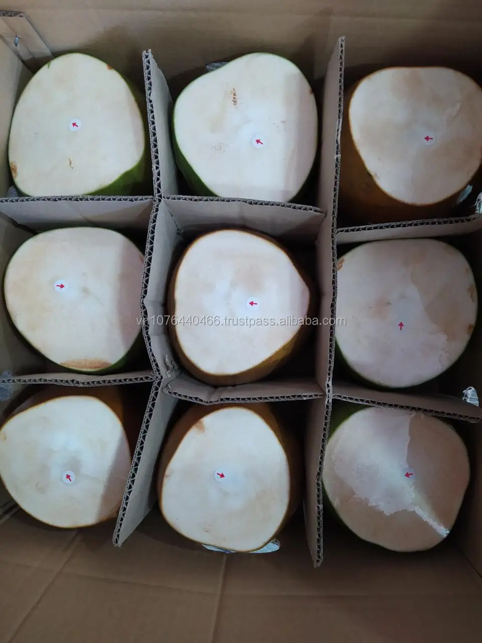 FRESH COCONUT (5).jpeg