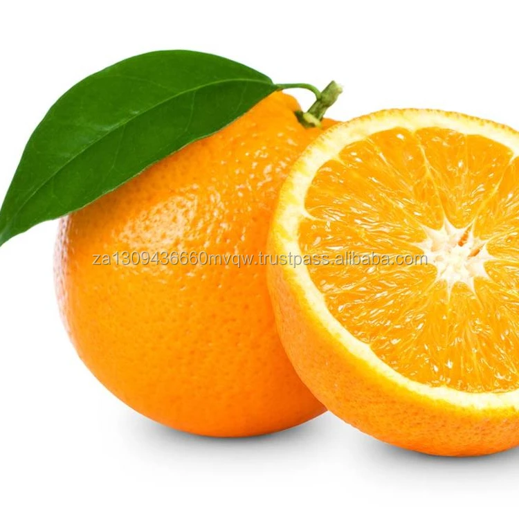 oranges 3.jpg