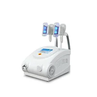 

Good price ! Cryo slim body machine criolipolisis portable dual handles cryolipolysis machine