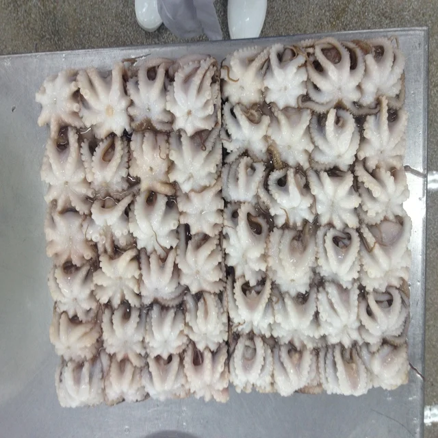 
Frozen Baby Octopus/Baby Octopus in Viet Nam  best price 