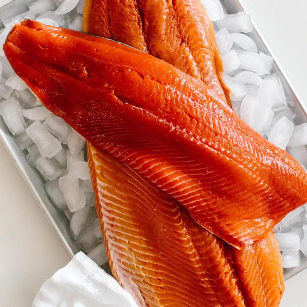 frozen indian salmon fish