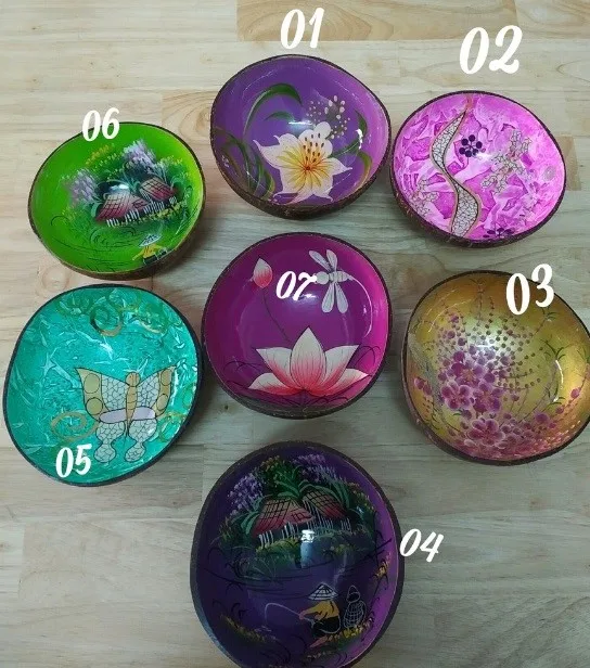 
Coconut Shell Bowl with Lacquer Cheap Price Fancy Design 