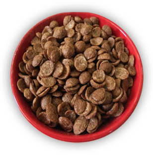 chocolate leaf cornflakes.png