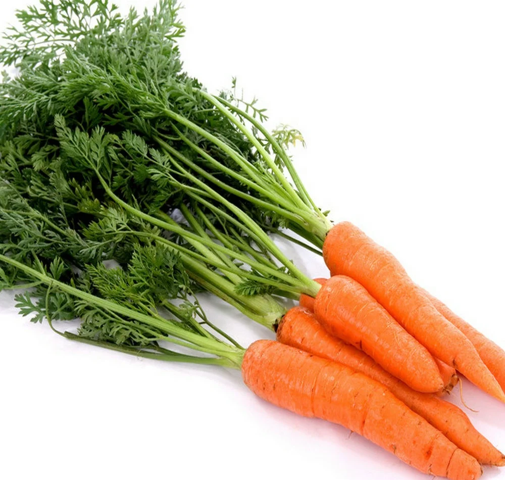 (hot) 2019 fresh yellow carrots/carrot exporters