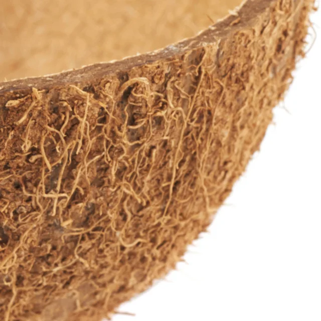 
Agriculture Waste Raw Coconut Shell with High Quality 