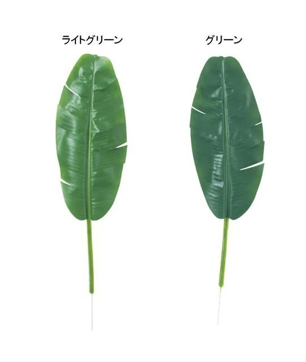 
SUPER CHEAP PRICE BANANA LEAF FOR PACKING FOOD/ WhatsApp +84 932398655 