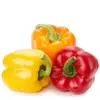 Best Quality Colorful Fresh Capsicum ,Yellow green and Red capsicum,Fresh Capsicum Pepper