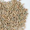 Organic Farm Rye grain/Winter Rye/Rye Flakes in Rye bran