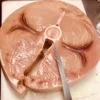 Frozen swordfish