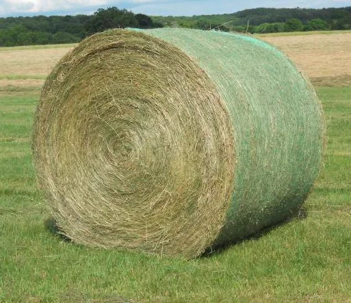 
Premium Quality Peanut Straw Hay For Animal Feed / Peanut Straw For Cattle Forage Best Straw Hay From Pakistan 