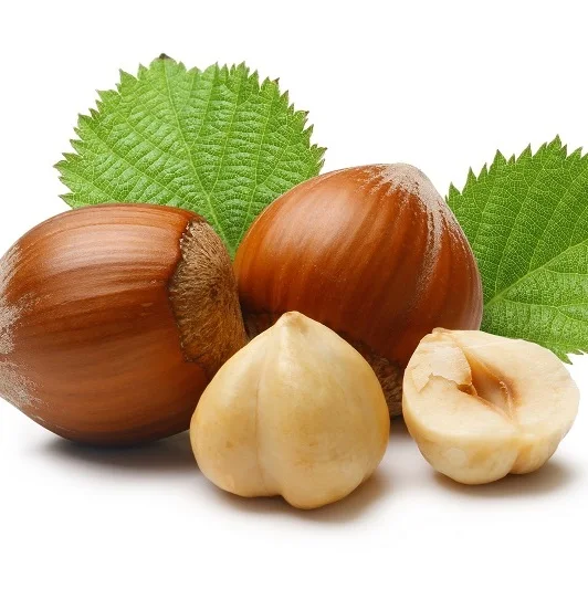 
Premium Quality Turkish Hazelnut 