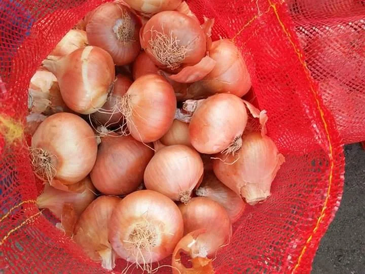 
Fresh Onion In Bulk Cheap Red/Yellow Onions For Sale 