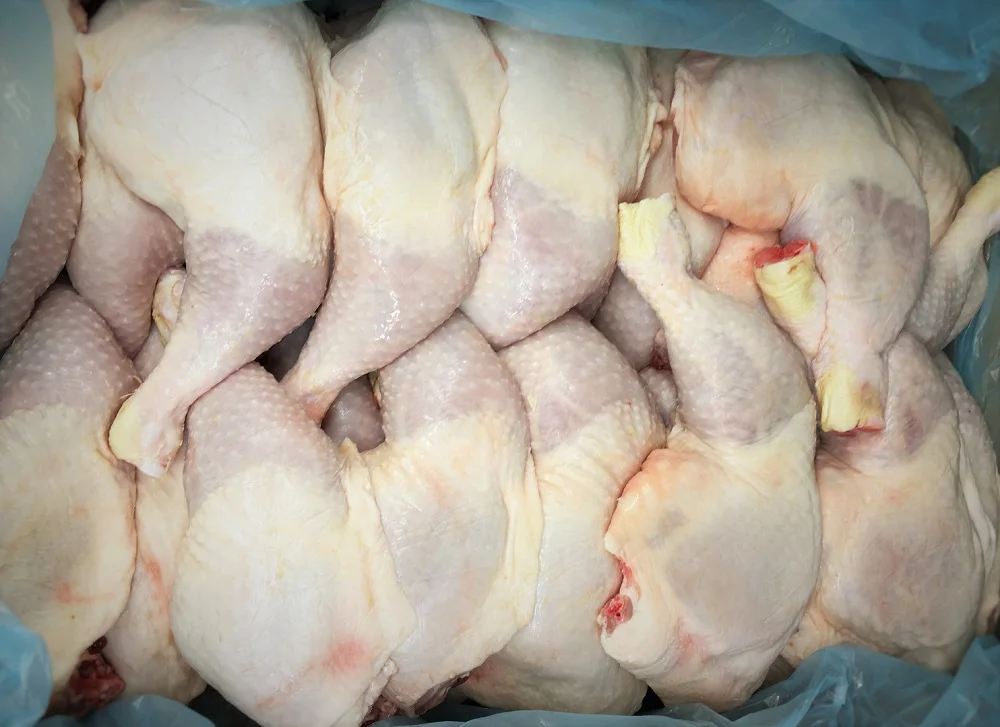 Halal Frozen Chicken Leg Quarter Export To Qatar Bahrain Kuwait Dubai Buy Frozen Chicken Leg Quarters Chicken Leg Frozen Chicken Leg Quarters In Box Halal Halal Chicken Leg Quarter Brazil Chicken Leg Chicken Leg Quarter