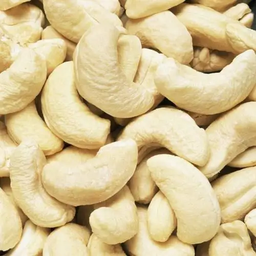 Origin Canada wholesale price premium quality organic cashew nut /raw cashews