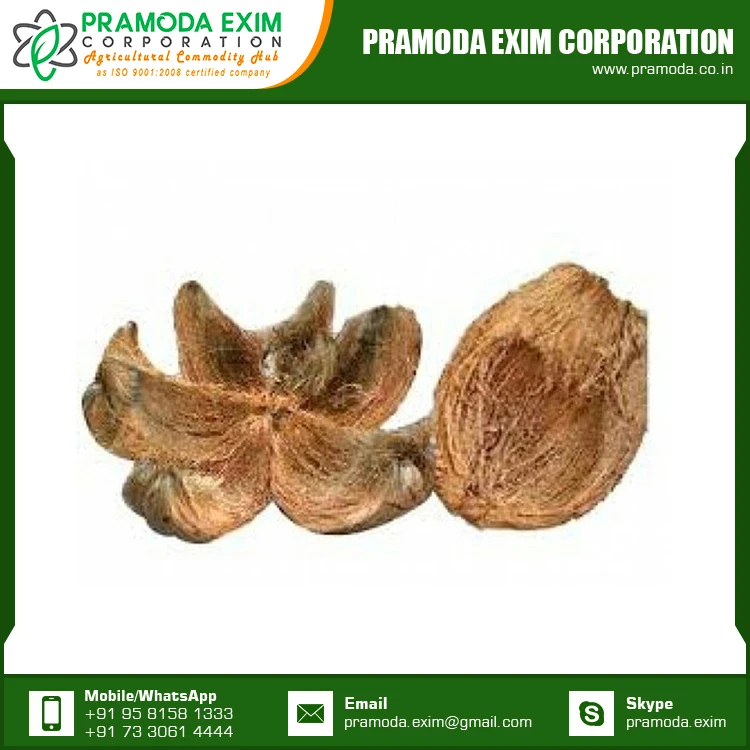 Wholesale Price Coconut Coco Husk Natural Coconut Coco Husk For Plant