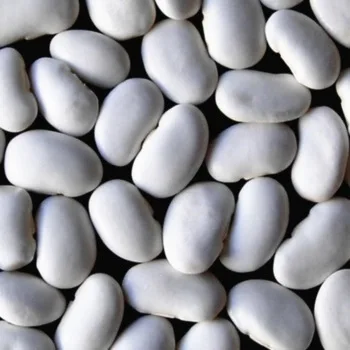 
High Quality Dried Lima Beans 