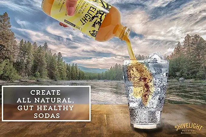 
Ginger Honey Shrub - All Natural, Small Batch, Montana Sourced Drinking Vinegar for Sodas and Cocktails - 16oz 