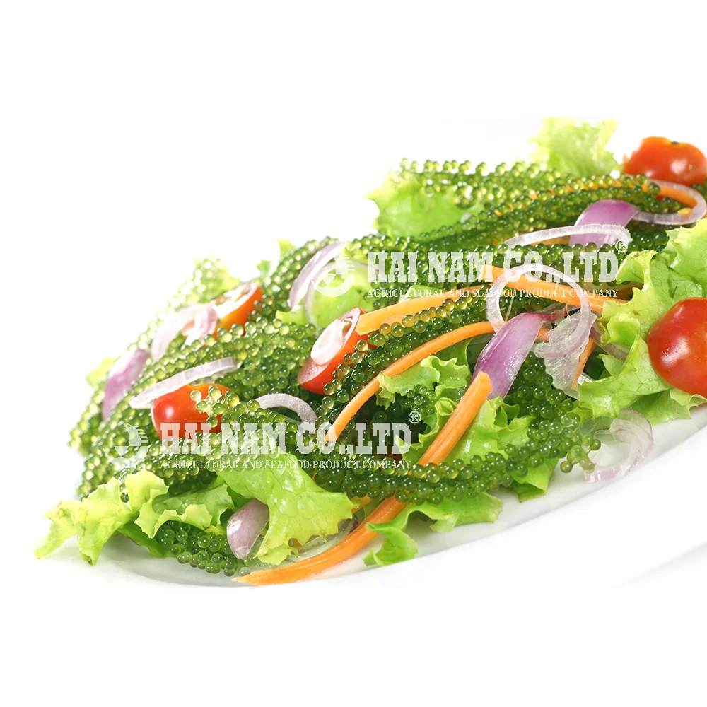 
Wholesale High Quality Fresh Salted Style Grape Seaweed Made In Vietnam 