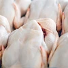 /product-detail/top-quality-wholesale-halal-whole-frozen-brazil-whole-frozen-chicken-62011215930.html