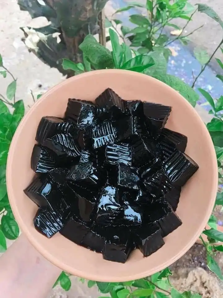 Black Grass Jelly Powder From Vietnam Buy Jelly Powder Black Grass Jelly Grass Jelly Leaves