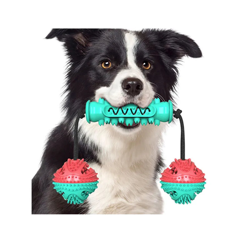 

free sample promotion pet product pet toy dog chew toy pet toy