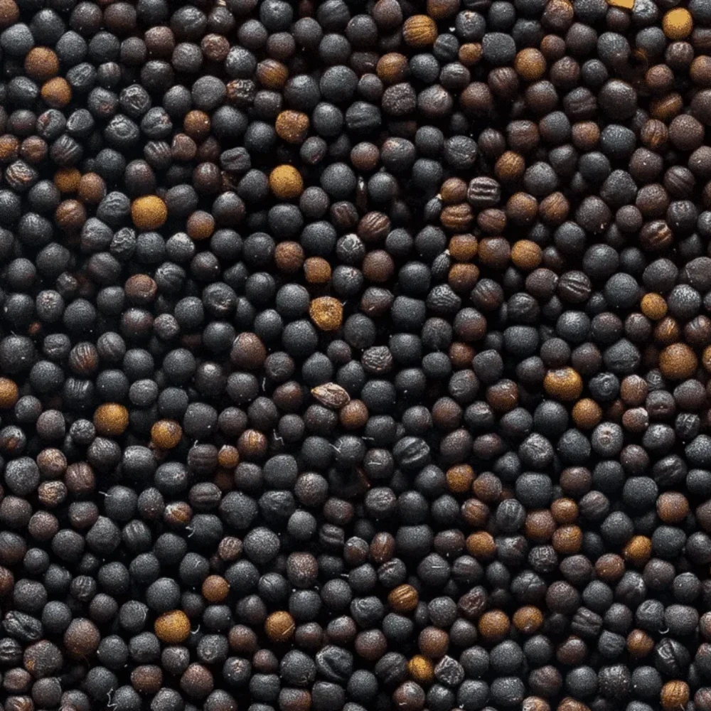 
Organic russian rape seeds for livestock in big bags 