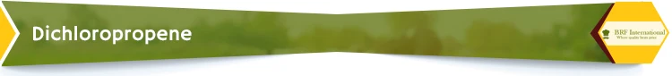 Title-copy.jpg