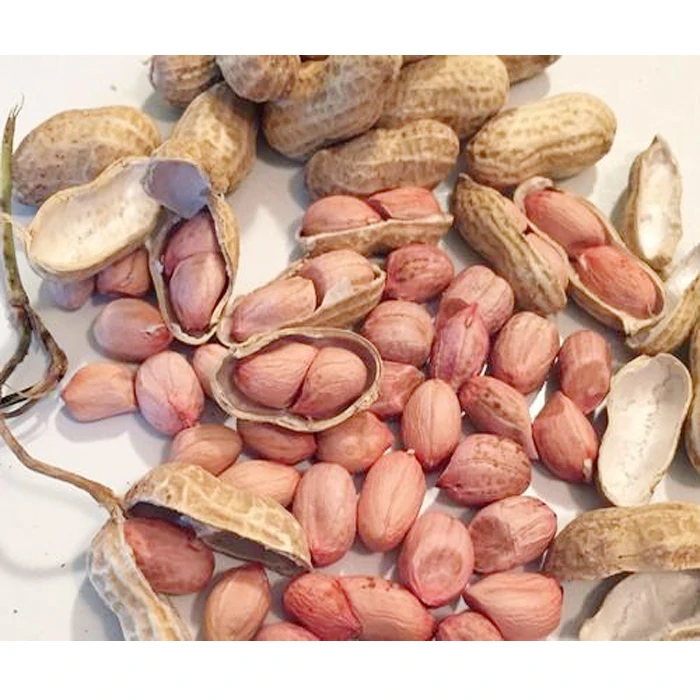 
Roaster Blanch Peanuts 