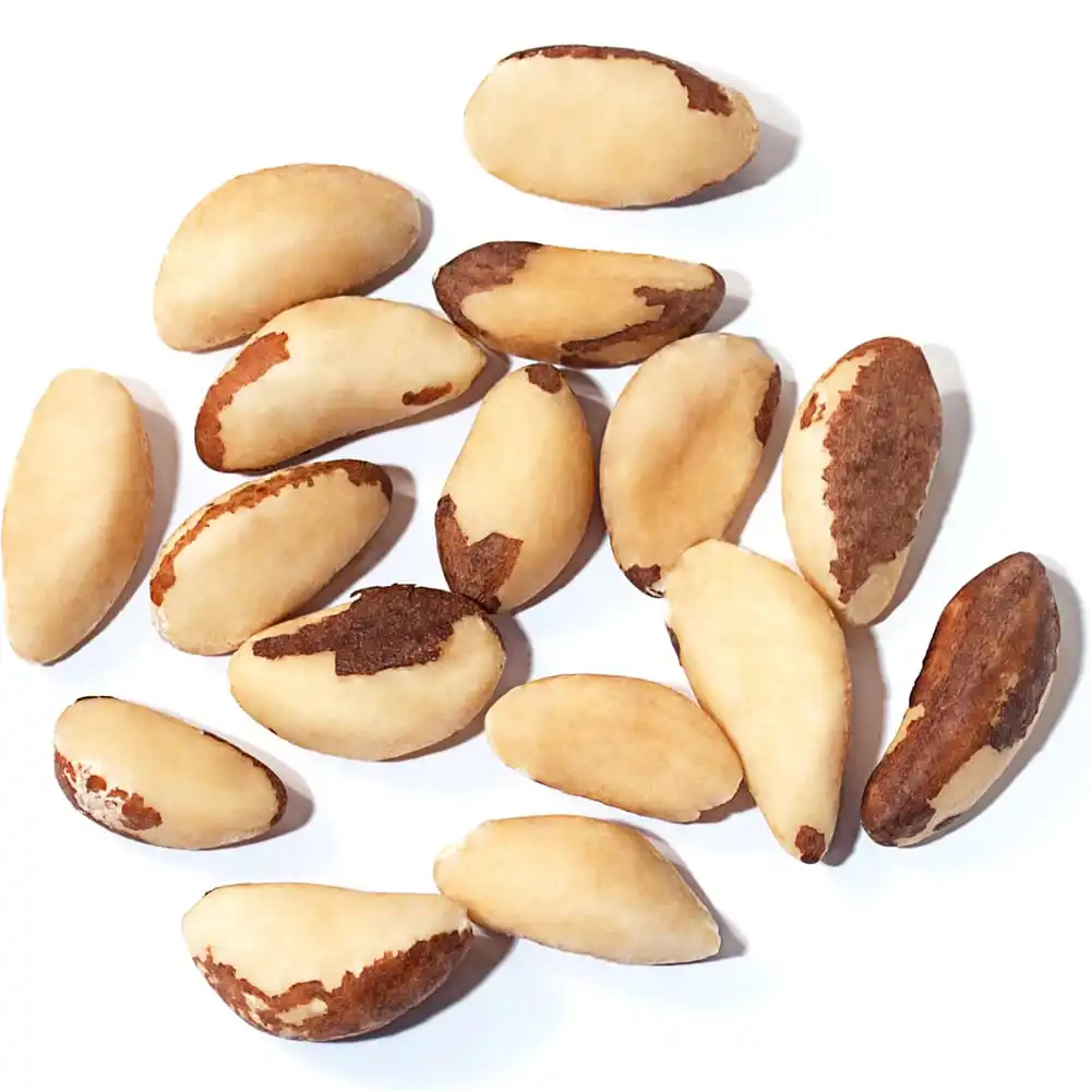 picture of brazil nuts