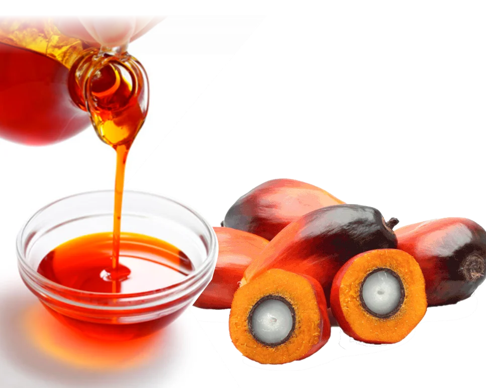 approved crude palm oil bulk price red palm oil / crude palm oil