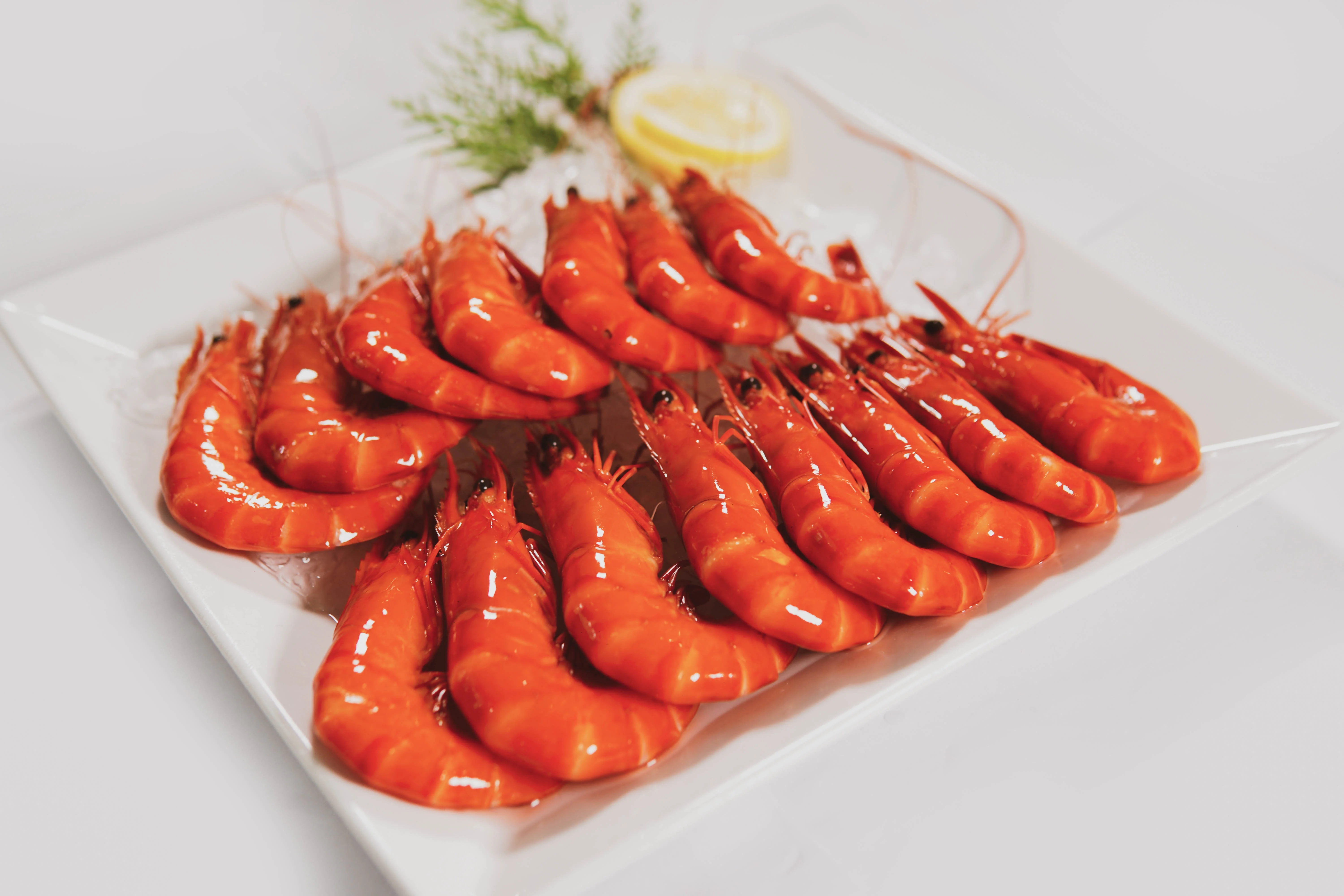 
Wholesale Frozen Black Tiger Shrimp (cooked shrimp) Made in VietNam 